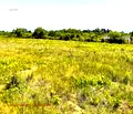 Снимка 2 — Парцел във Варна, м-т Боровец - юг