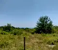 Снимка 3 — Парцел във Варна, м-т Боровец - юг