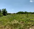 Снимка 4 — Парцел във Варна, м-т Боровец - юг