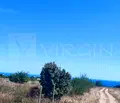 Снимка 5 — Парцел във Варна, м-т Боровец - юг