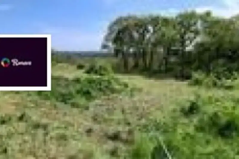 Plot in Varna, Borovec - Yug