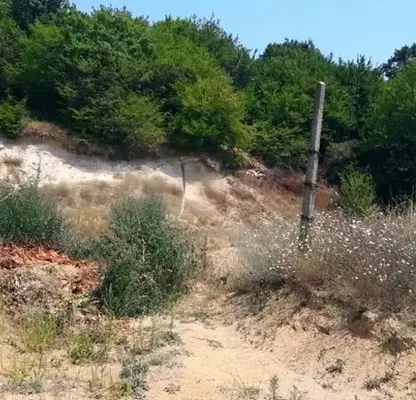 Photo 2 — Plot in Varna, Borovec - Yug