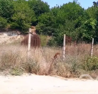 Photo 3 — Plot in Varna, Borovec - Yug