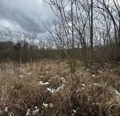 Photo 2 — Plot in Varna, Borovec - Yug
