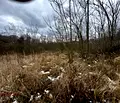 Снимка 3 — Парцел във Варна, м-т Боровец - юг