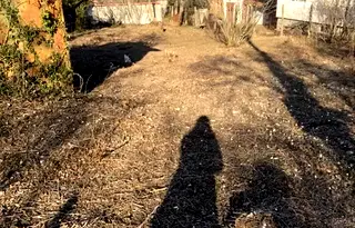 Парцел във Варна, м-т Боровец - юг