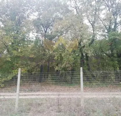 Photo 3 — Plot in Varna, Borovec - Yug
