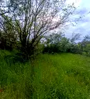 Парцел във Варна, м-т Боровец - юг
