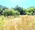 Снимка 4 — Парцел във Варна, м-т Боровец - юг