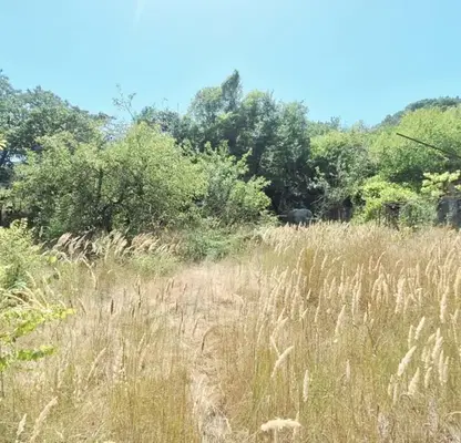 Photo 4 — Plot in Varna, Borovec - Yug