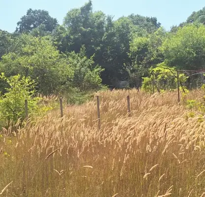 Photo 5 — Plot in Varna, Borovec - Yug