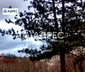 Снимка 2 — Парцел във Варна, м-т Боровец - юг