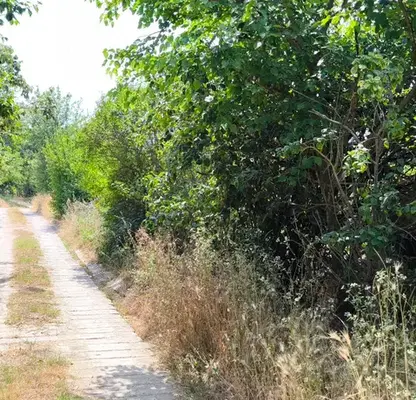 Снимка 4 — Парцел във Варна, м-т Боровец - юг