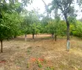 Снимка 2 — Парцел в Шумен, м-т Чашка