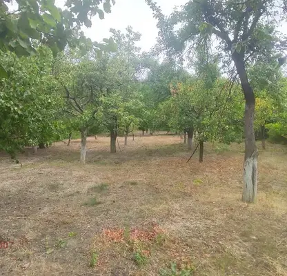 Photo 2 — Plot in Shumen, Chashka