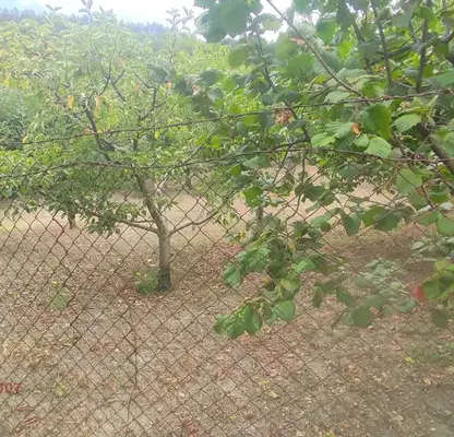Photo 3 — Plot in Shumen, Chashka