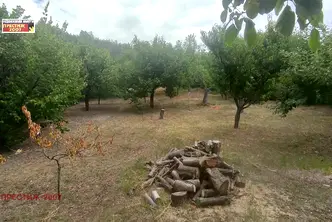 Парцел в Шумен, м-т Чашка
