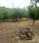 Парцел в Шумен, м-т Чашка