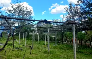 Парцел в Шумен, м-т Чашка