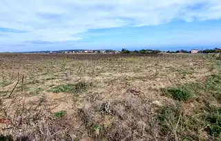 Парцел във Варна, м-т Добрева чешма
