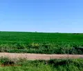 Снимка 3 — Парцел във Варна, м-т Добрева чешма