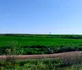 Снимка 4 — Парцел във Варна, м-т Добрева чешма