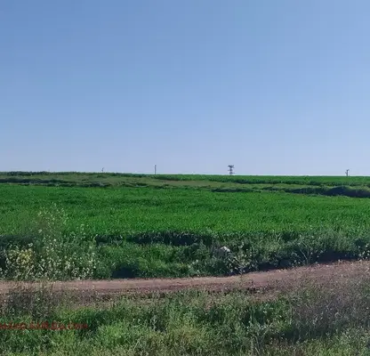 Снимка 4 — Парцел във Варна, м-т Добрева чешма