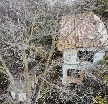 Photo 2 — Plot in Varna, Dobreva Cheshma