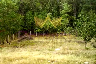 Парцел във Варна, м-т Франга Дере