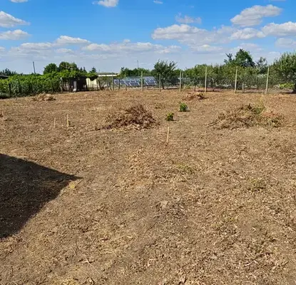 Photo 3 — Plot in Dobrich, Gazibaba