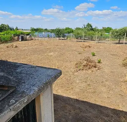 Photo 4 — Plot in Dobrich, Gazibaba