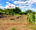 Снимка 4 — Парцел в Добрич, м-т Газибаба