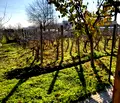 Снимка 2 — Парцел в Стара Загора, м-т Голеш