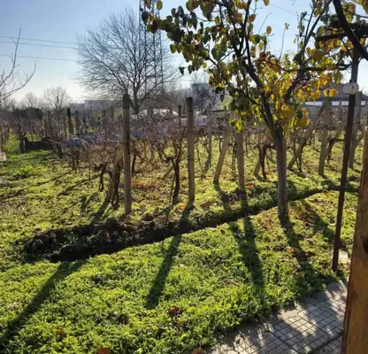Photo 2 — Plot in Stara Zagora, Golesh