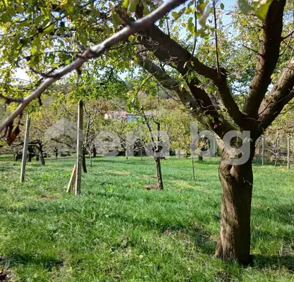 Photo 2 — Plot in Varna, Gorna Traka