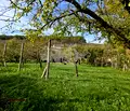 Снимка 5 — Парцел във Варна, м-т Горна Трака