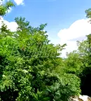Парцел във Варна, м-т Горна Трака