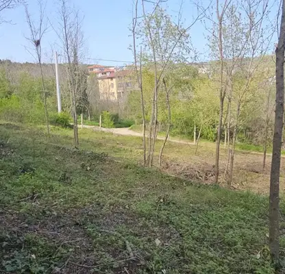 Снимка 5 — Парцел във Варна, м-т Горна Трака
