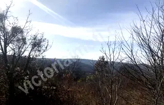 Парцел във Велико Търново, м-т Козлуджа