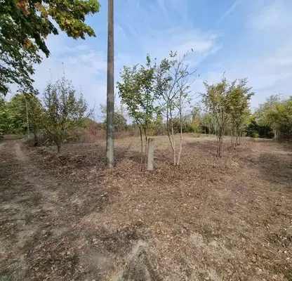 Photo 2 — Plot in Veliko Tyrnovo, Kozludja