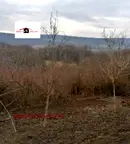 Парцел във Велико Търново, м-т Козлуджа