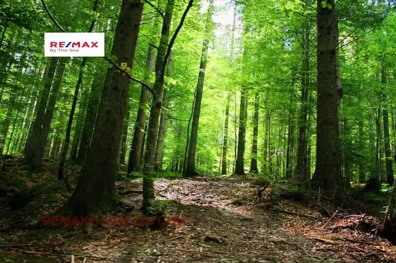 Парцел във Варна, м-т Манастирски рид