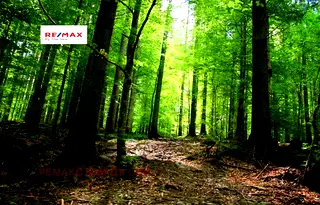 Парцел във Варна, м-т Манастирски рид