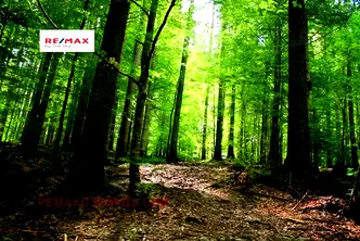 Парцел във Варна, м-т Манастирски рид