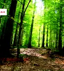 Парцел във Варна, м-т Манастирски рид