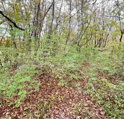Photo 2 — Plot in Varna, Manastirski Rid