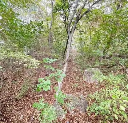 Photo 3 — Plot in Varna, Manastirski Rid