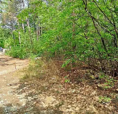 Photo 3 — Plot in Varna, Manastirski Rid