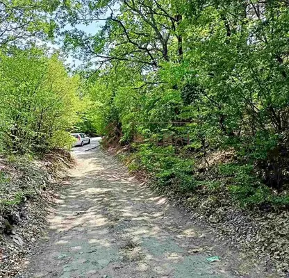 Photo 4 — Plot in Varna, Manastirski Rid
