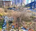 Снимка 4 — Парцел във Варна, м-т Манастирски рид